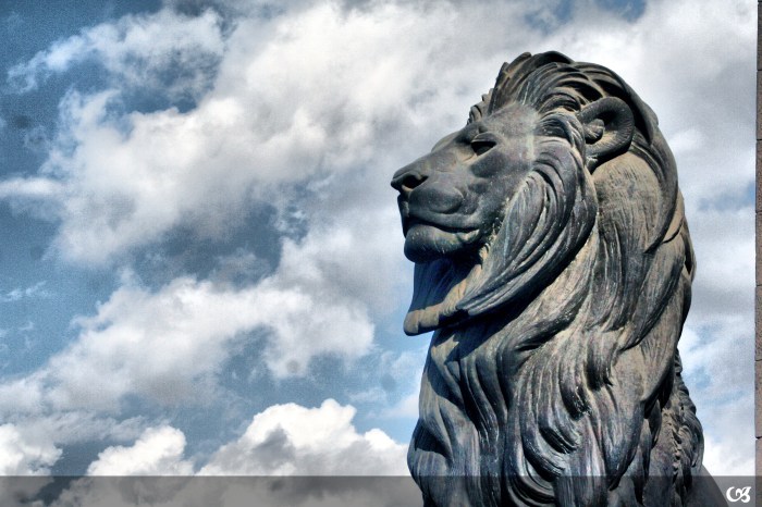 Photo By Moreed Raouf